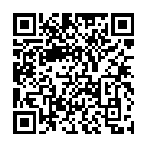 这盒子里面是我为旭儿准备的紫云仙桃以及悟道古茶树二维码生成