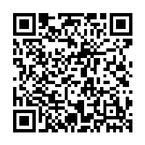 这看似没有丝毫规则的风潮在许紫烟的魂魄眼中却是有迹可循二维码生成