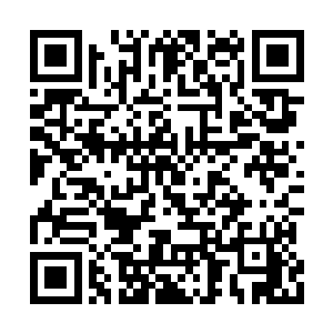 这看似简单的一拳在他的手中却是最凶狠的利器二维码生成