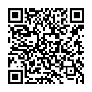 这眼前的筑基期大圆满在青火宗的地位也就太低了吧二维码生成
