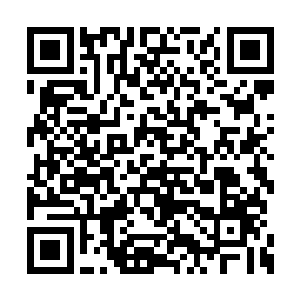 这眼睁睁看着莫小姐花五百万买一本普通的佛经二维码生成