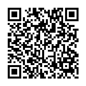 这碗蟹肉沙拉从口味到热量都符合她的进食标准二维码生成