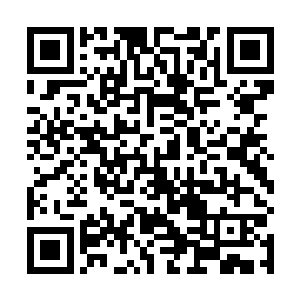 这碧罗仙果对于虎崩这样级别的人物而言只是小补之物二维码生成