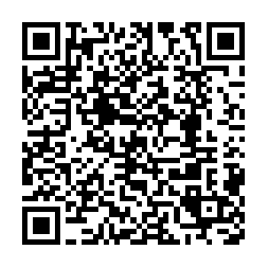 这碧罗仙果整个石渠郡只有罗檀仙君私人封地的碧桂山上长着十来棵二维码生成