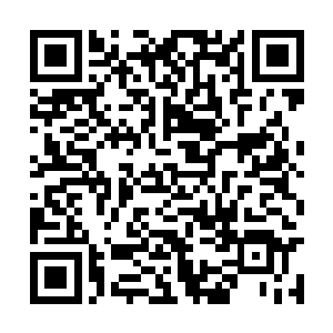 这祝宛平的家族圣域强者被一个天才圣域给干掉了二维码生成