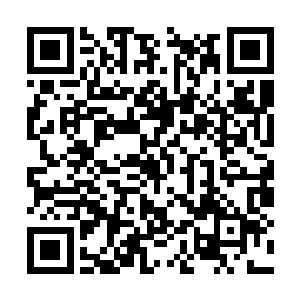 这禁制从某种程度上来说也是天地规则的一种力量二维码生成