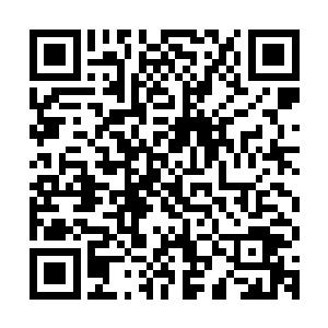 这禁制是跟倪道溪当初从道宫秘境带出的一件幽冥宝物有关之外二维码生成