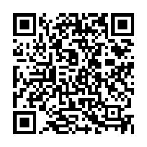 这种一力降十会的攻击方式正好克制阿克琉蒂斯二维码生成