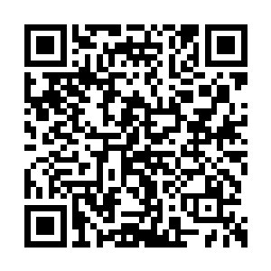 这种一尺多长的开山刀也很不适合使用内家刀法二维码生成