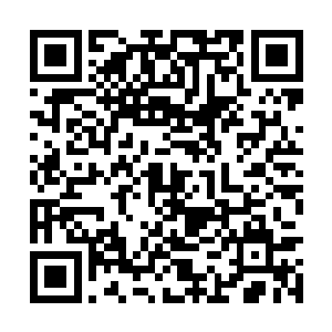 这种不卑不亢的态度让粉丝群里响起了一片叫好声二维码生成