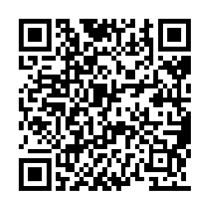 这种不安和压抑来自于华夏九新生成不久的灵魂二维码生成