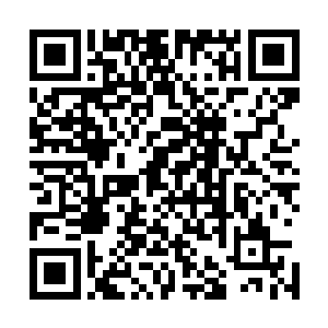 这种不尖锐而旁若无人的淡漠倒是跟代离骨子里的有些一样二维码生成