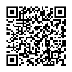 这种丧病的把猎物团成球的熟练架势是想干嘛啊二维码生成