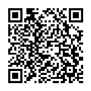 这种中的变化之下使得郑万的心中也是变得异常的烦躁和不安二维码生成