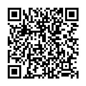 这种事竟然发生在刚刚获得火之冠冕称号的哈布斯亲王身上二维码生成