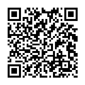 这种人在他看来基本上都是脸上写着我是老千的二维码生成