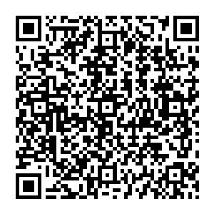 这种会议对于他来说也确实就跟催眠曲的效果差不多――他之前最讨厌的就是这种干巴巴的报告二维码生成
