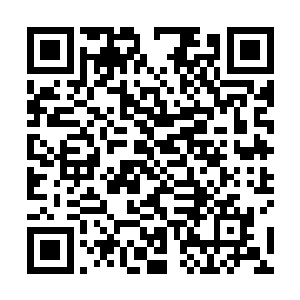 这种修为哪怕是在龙族之中也足以胜任一个长老之位了二维码生成