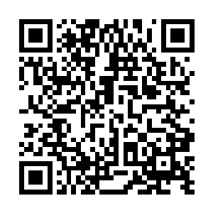 这种修为在龙傲天的面前显然跟一个蝼蚁没有什么区别二维码生成