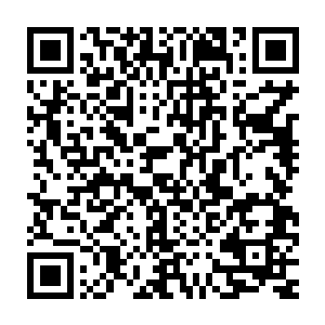 这种修为虽然说对于普通的凌云城的修炼者来说已经算是不错的天才了二维码生成