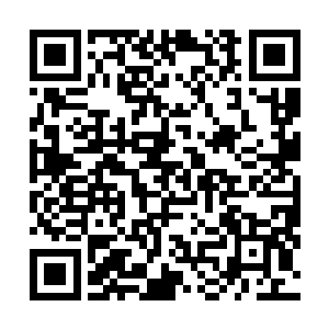 这种充分利用日常武器和猛兽的打斗……不知道该怎么说二维码生成