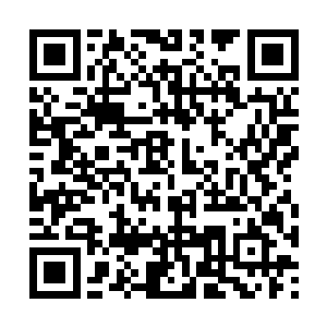 这种全新结构的血肉组织拥有极其强大的自愈能力二维码生成
