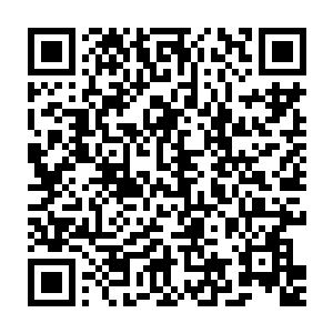 这种冰冷的气息好熟悉……不正是每天晚上自己感受到的那种寒冷吗二维码生成