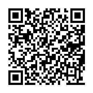 这种剧痛对于一个养尊处优的少爷是无法忍受的二维码生成