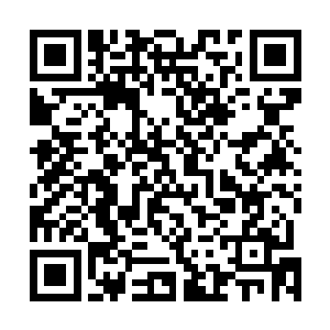 这种力量给他的感觉甚至已经超出了天尊后期巅峰的境界二维码生成
