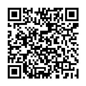 这种动作在安齐远看来不过是欲拒还迎的小把戏崩了二维码生成