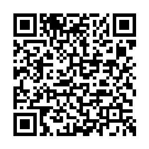 这种半能源生命的繁殖能力和正常生命完全不同二维码生成