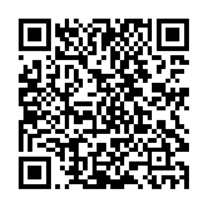 这种印记本来就是巫城的十二大祭司共同琢磨出来的二维码生成