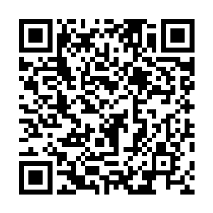 这种压力是什么……我站在这儿不动……居然在减体能值二维码生成