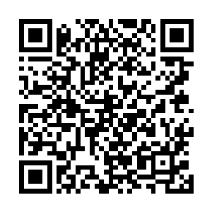 这种变化和十帝榜最后一战冠军侯融合邪龙的变化何其相似二维码生成