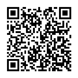这种只是通过翅膀扇动空气的飞行不在禁空之列二维码生成