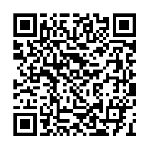 这种可怕的史前生物仿佛天生就是海洋里的霸主二维码生成