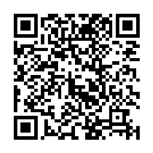 这种吸引力在墨修尧这样心志坚定的高手身上几乎无效二维码生成