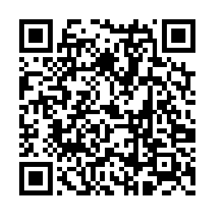 这种吸灵虫对于我们这个境界已经没有什么用了二维码生成