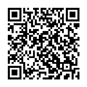 这种大道规则之力对于它来说根就构不成哪怕丝毫的威胁二维码生成