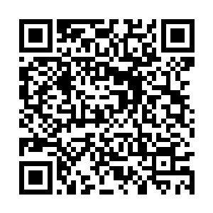 这种天才大会也是针对那些非大势力的仙人开放的二维码生成