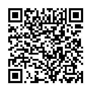 这种小型灵长类碳基智慧生命认知范围的异种生命形态二维码生成