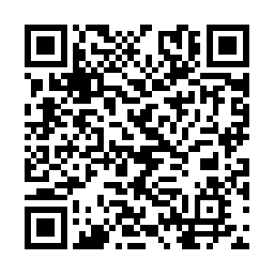 这种层次的东西怎么会出现在这种低级的拍卖会上二维码生成