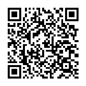 这种山岩已经变成了充满着浓郁之极灵气的五彩灵晶二维码生成