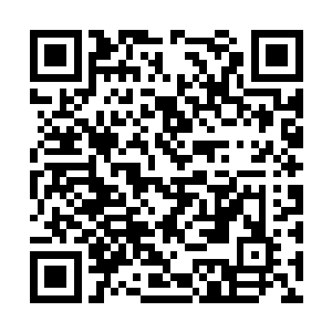 这种布满裂纹的蜕皮在复杂地形的反复牵绊拉扯下二维码生成