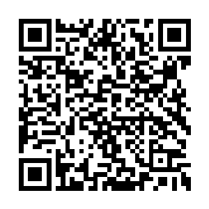 这种希望被毁灭之后的痛苦让她们全都呆若木鸡二维码生成