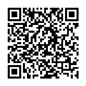 这种带一定写实性质的文学作物全都是真实存在的……二维码生成