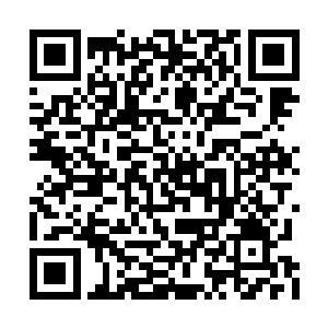 这种年兽的族群规模从最强最大沦落到最弱最小二维码生成