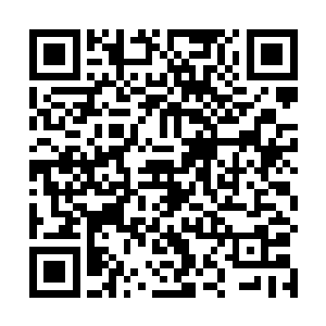 这种异状立刻就惊动了正在给江少游做心率检测的胖子二维码生成