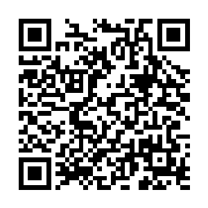 这种情况下其实是不算五个人一起出手对付夏天一个人的二维码生成