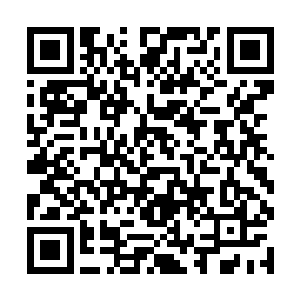 这种情况下就特别的考验炼药之人对火焰的操控能力二维码生成